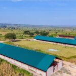 Governor Mutfwang Begins Poultry Construction and Infrastructure Development at BARC Farms