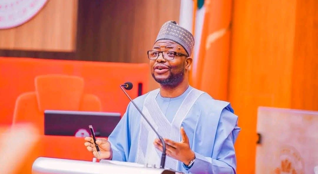 Senate Confirms Bernard Doro as Minister from Plateau State