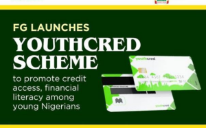 Nigerian Government Launches YouthCred to Empower Employed Youth With Up to N5million Credit