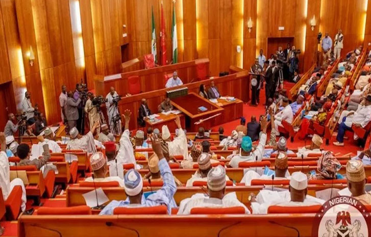 Reps pass N58.47tn 2026 budget, says Nigeria has not printed single naira under Tinubu
