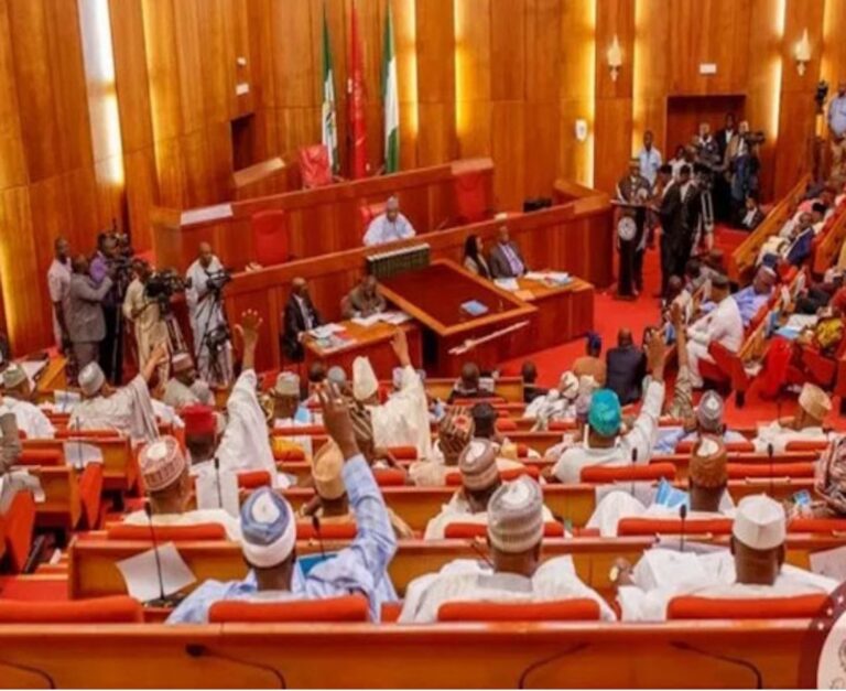 Reps pass N58.47tn 2026 budget, says Nigeria has not printed single naira under Tinubu