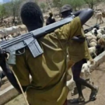 Tension as armed herders overrun farms, threaten villagers with AK-47 Rifles