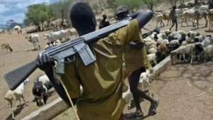 Tension as armed herders overrun farms, threaten villagers with AK-47 Rifles