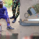 Plateau killings: